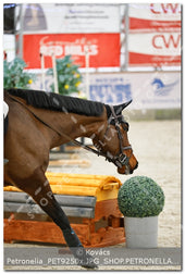 A kép az eredeti csökkentett reprezentációja