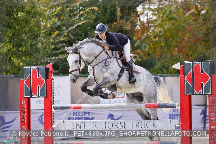 A kép az eredeti csökkentett reprezentációja