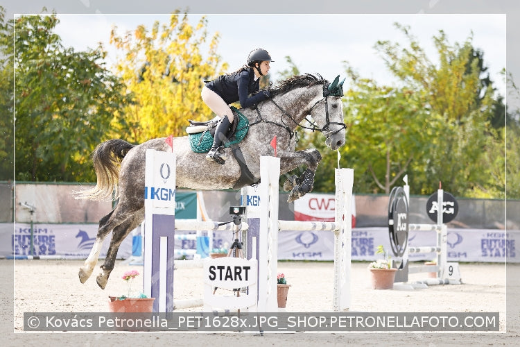 A kép az eredeti csökkentett reprezentációja