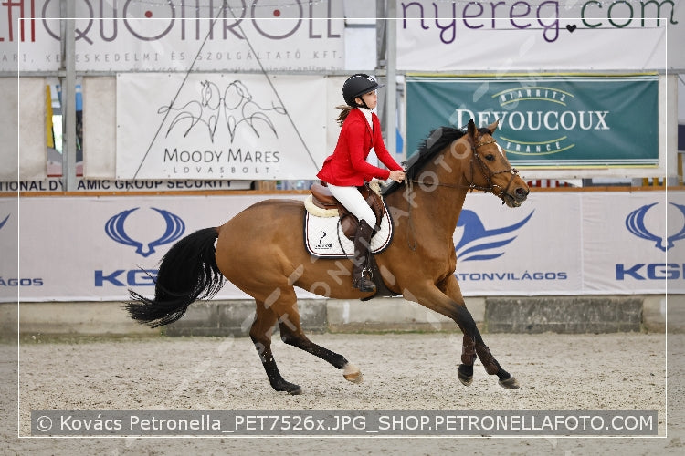 A kép az eredeti csökkentett reprezentációja