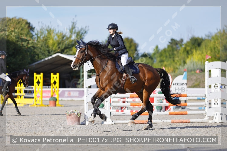 A kép az eredeti csökkentett reprezentációja