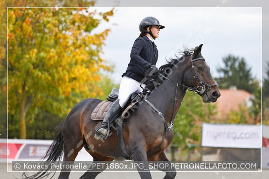 A kép az eredeti csökkentett reprezentációja