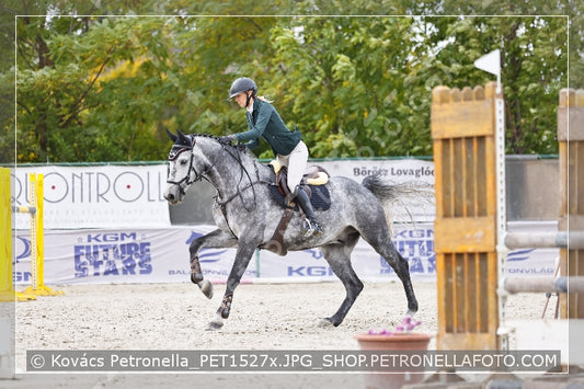 A kép az eredeti csökkentett reprezentációja