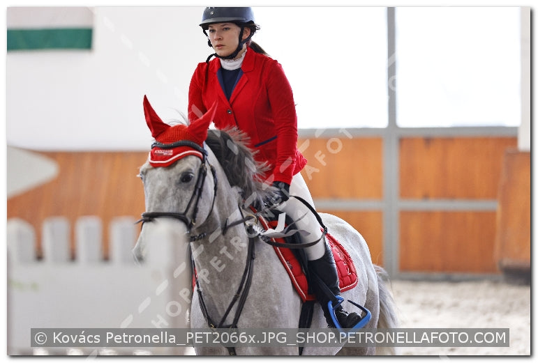 A kép az eredeti csökkentett reprezentációja