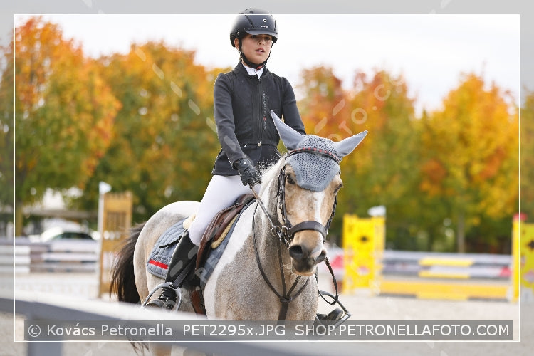 A kép az eredeti csökkentett reprezentációja