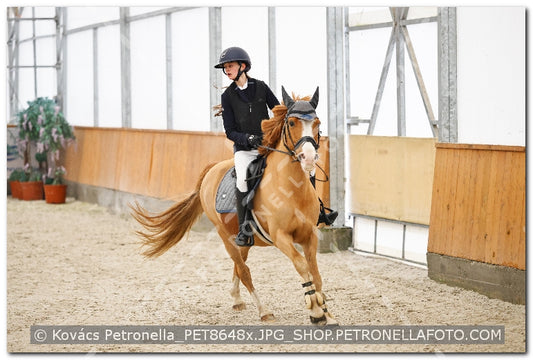 A kép az eredeti csökkentett reprezentációja