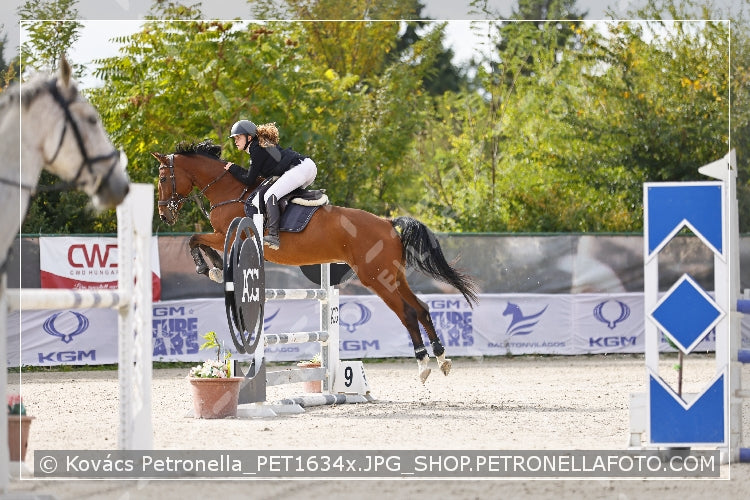 A kép az eredeti csökkentett reprezentációja