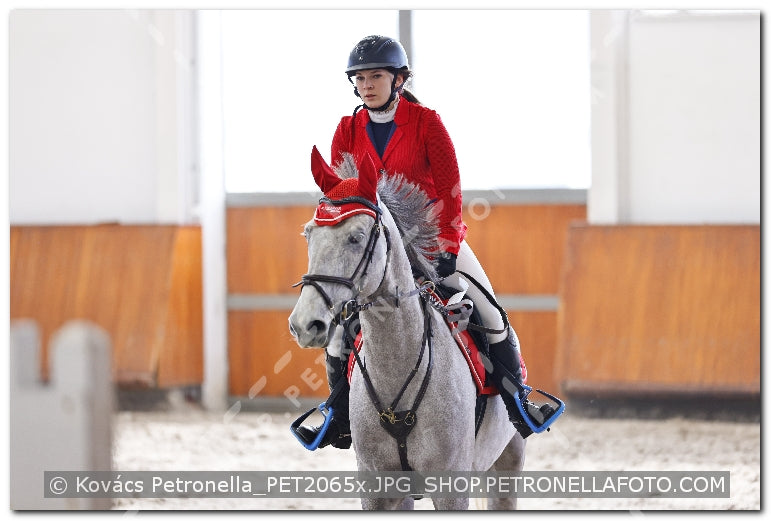 A kép az eredeti csökkentett reprezentációja