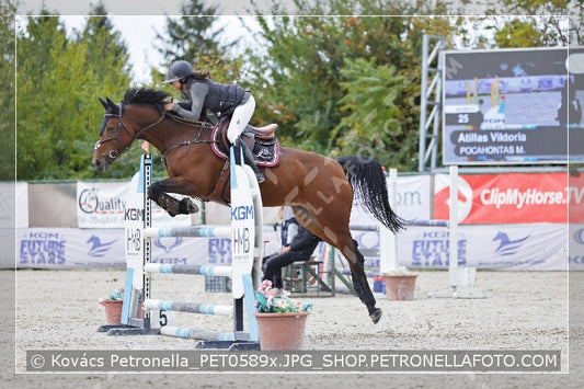 A kép az eredeti csökkentett reprezentációja