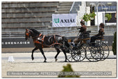 A kép az eredeti csökkentett reprezentációja