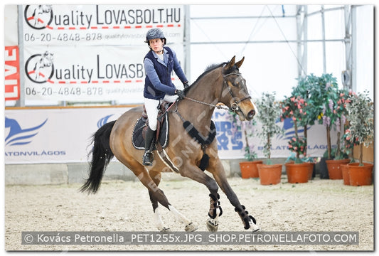 A kép az eredeti csökkentett reprezentációja
