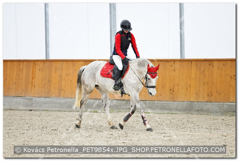 A kép az eredeti csökkentett reprezentációja