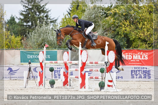 A kép az eredeti csökkentett reprezentációja