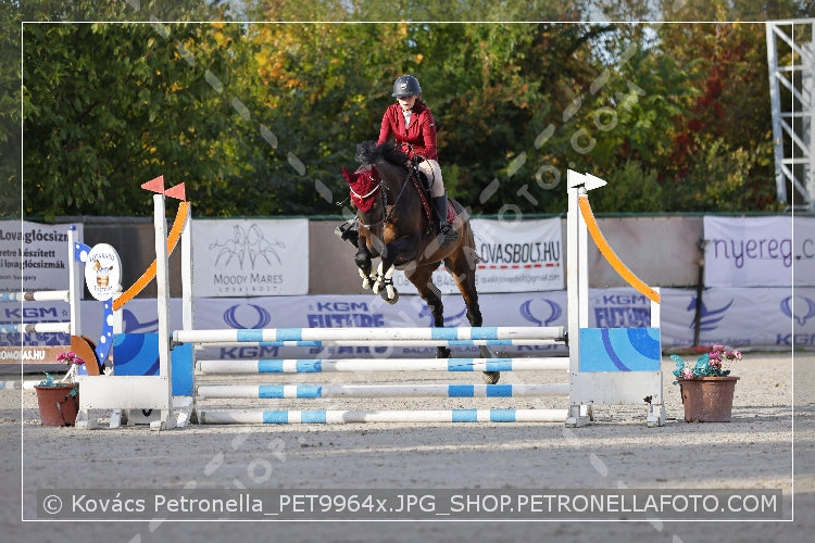 A kép az eredeti csökkentett reprezentációja