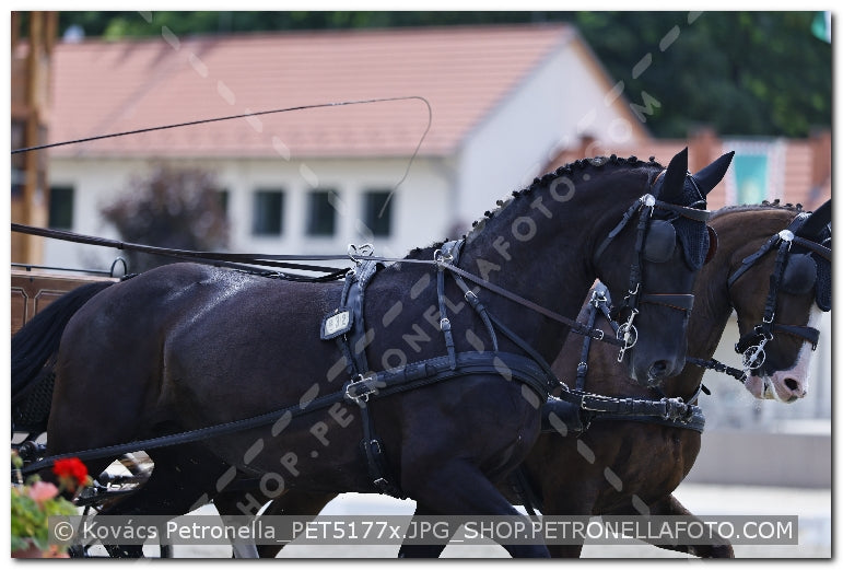 A kép az eredeti csökkentett reprezentációja