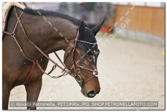 A kép az eredeti csökkentett reprezentációja