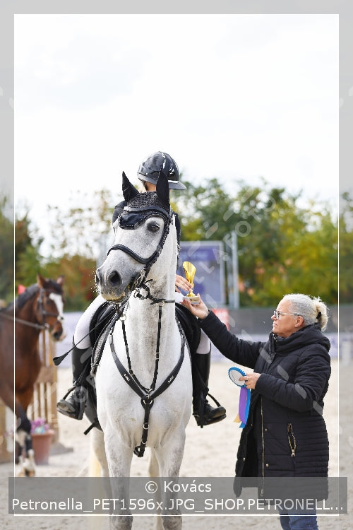 A kép az eredeti csökkentett reprezentációja
