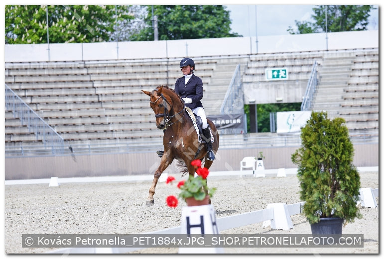 A kép az eredeti csökkentett reprezentációja