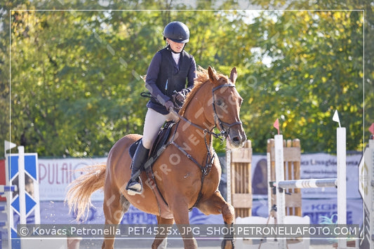 A kép az eredeti csökkentett reprezentációja