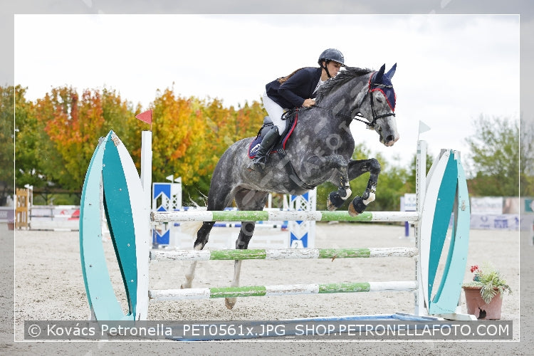 A kép az eredeti csökkentett reprezentációja