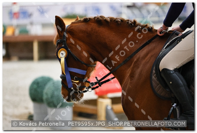 A kép az eredeti csökkentett reprezentációja