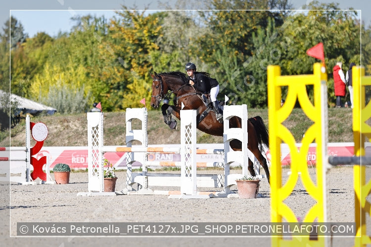 A kép az eredeti csökkentett reprezentációja