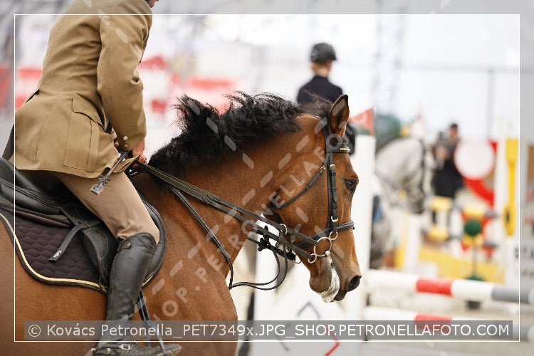 A kép az eredeti csökkentett reprezentációja