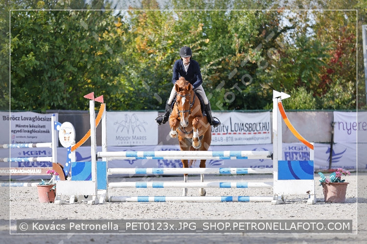 A kép az eredeti csökkentett reprezentációja