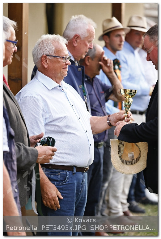 A kép az eredeti csökkentett reprezentációja