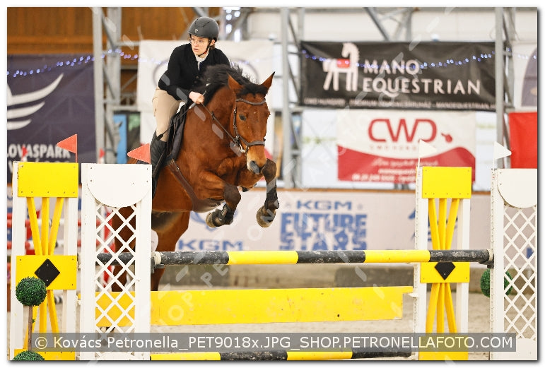 A kép az eredeti csökkentett reprezentációja