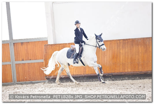 A kép az eredeti csökkentett reprezentációja