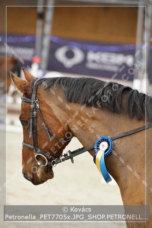 A kép az eredeti csökkentett reprezentációja