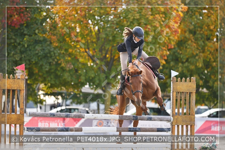 A kép az eredeti csökkentett reprezentációja