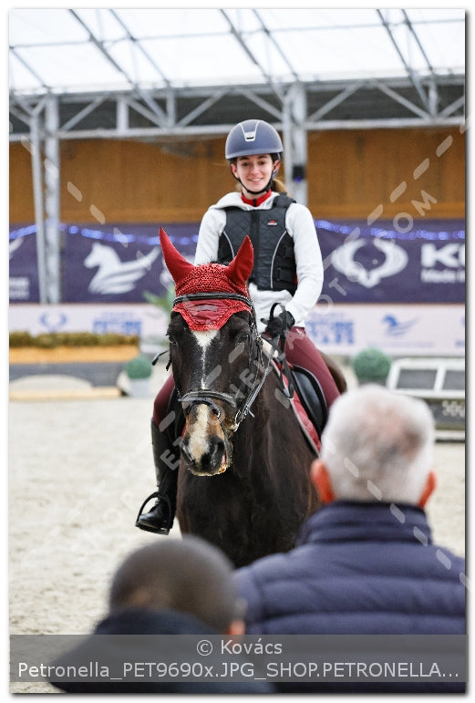 A kép az eredeti csökkentett reprezentációja