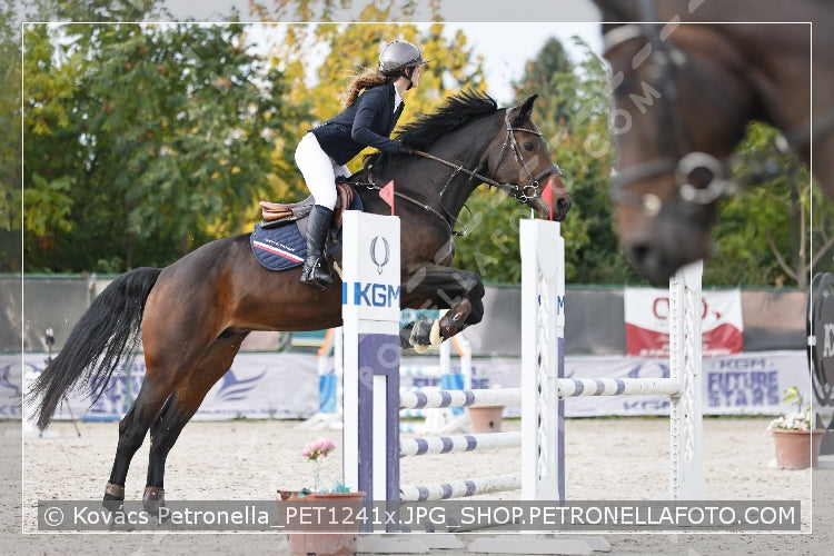 A kép az eredeti csökkentett reprezentációja