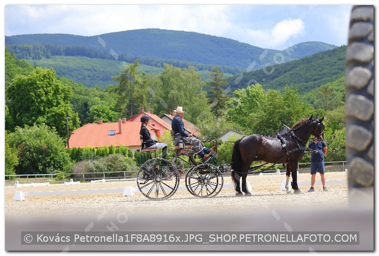 A kép az eredeti csökkentett reprezentációja