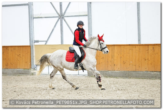 A kép az eredeti csökkentett reprezentációja