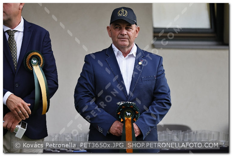 A kép az eredeti csökkentett reprezentációja