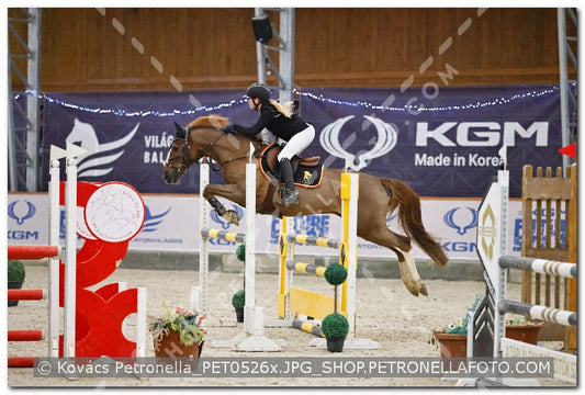 A kép az eredeti csökkentett reprezentációja