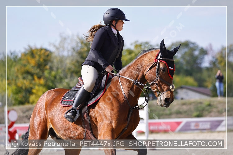 A kép az eredeti csökkentett reprezentációja