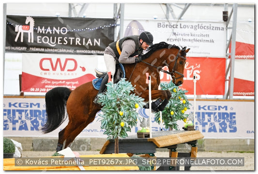 A kép az eredeti csökkentett reprezentációja