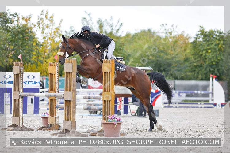 A kép az eredeti csökkentett reprezentációja