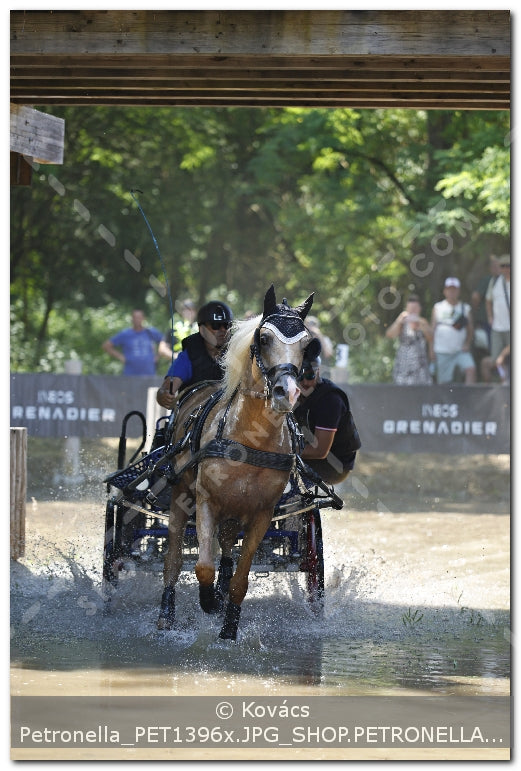 A kép az eredeti csökkentett reprezentációja
