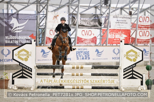 A kép az eredeti csökkentett reprezentációja