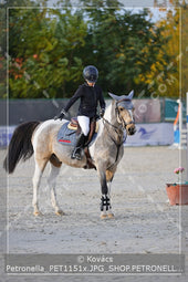 A kép az eredeti csökkentett reprezentációja