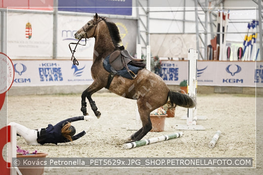 A kép az eredeti csökkentett reprezentációja