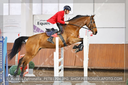 A kép az eredeti csökkentett reprezentációja