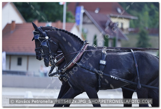 A kép az eredeti csökkentett reprezentációja