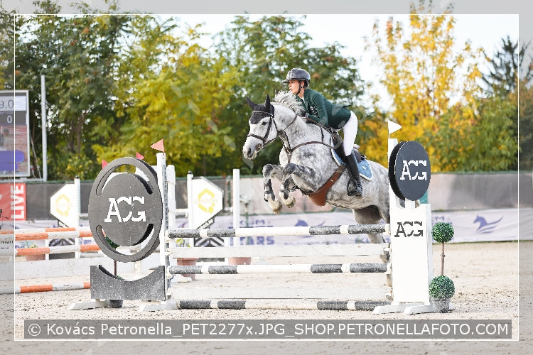 A kép az eredeti csökkentett reprezentációja