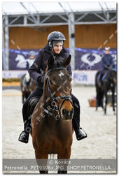 A kép az eredeti csökkentett reprezentációja